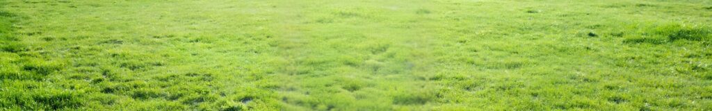 How to fix bumpy lawn with topdressing and aeration