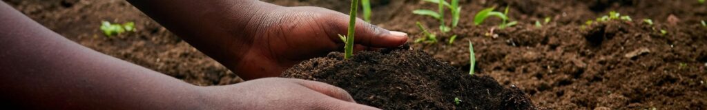 Hands working compost into dark garden soil. Showing how to prepare garden soil for planting