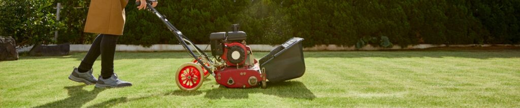 homeowner using a push dethatcher after learning how to dethatch a lawn