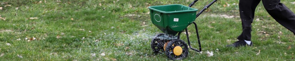 person pushing a broadcast spreader in how to overseed a lawn with grass seed