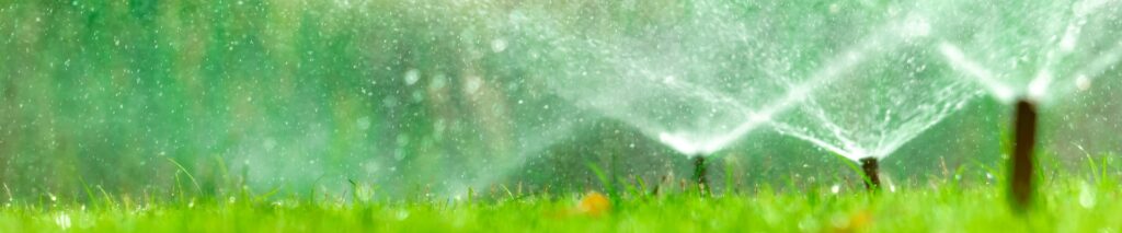 how to water lawn in heat with sprinkler running in early morning