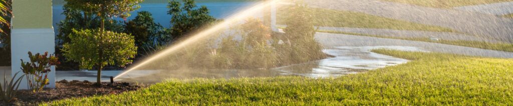 sprinkler watering a green lawn showing how long to water your lawn in the early morning