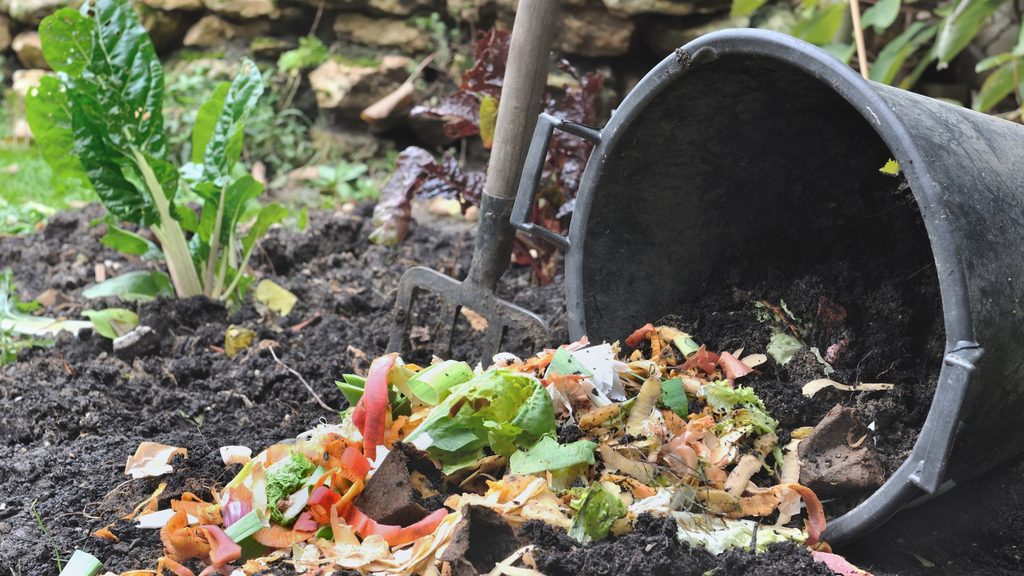 bucket of finished compost being added to a garden bed with a garden fork