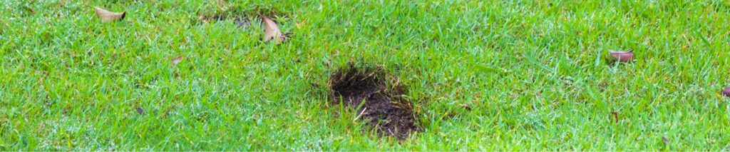 how to fix a low spot in your yard — depression and hole visible in a green lawn