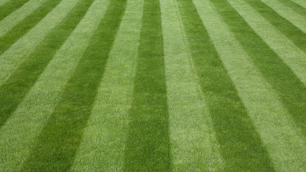 alternating light and dark green lawn stripes showing the light reflection effect