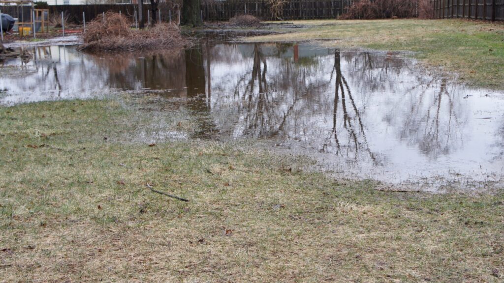large pool of standing water collecting in a yard after rain