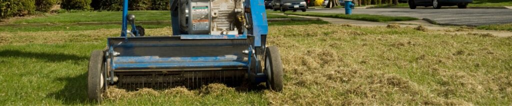 thatch buildup in lawn — man using a power dethatcher on a suburban lawn
