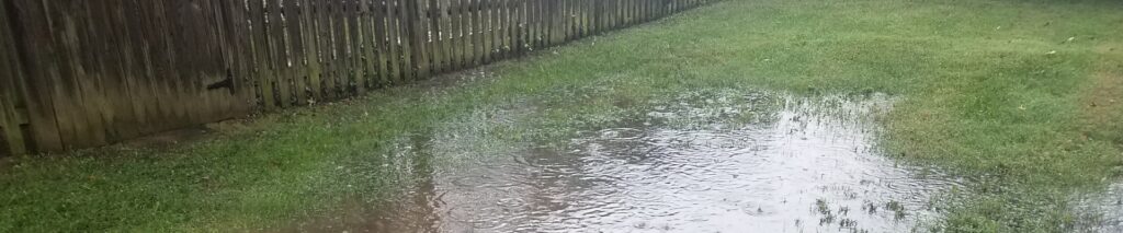 yard floods after rain — standing water pooling in a backyard after heavy rain
