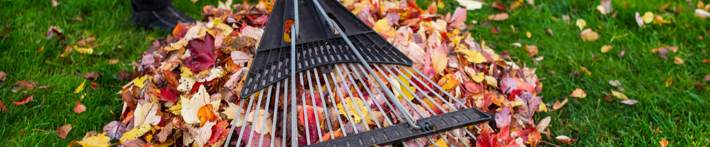 fall yard cleanup checklist — rake pulling pile of colorful leaves on green grass