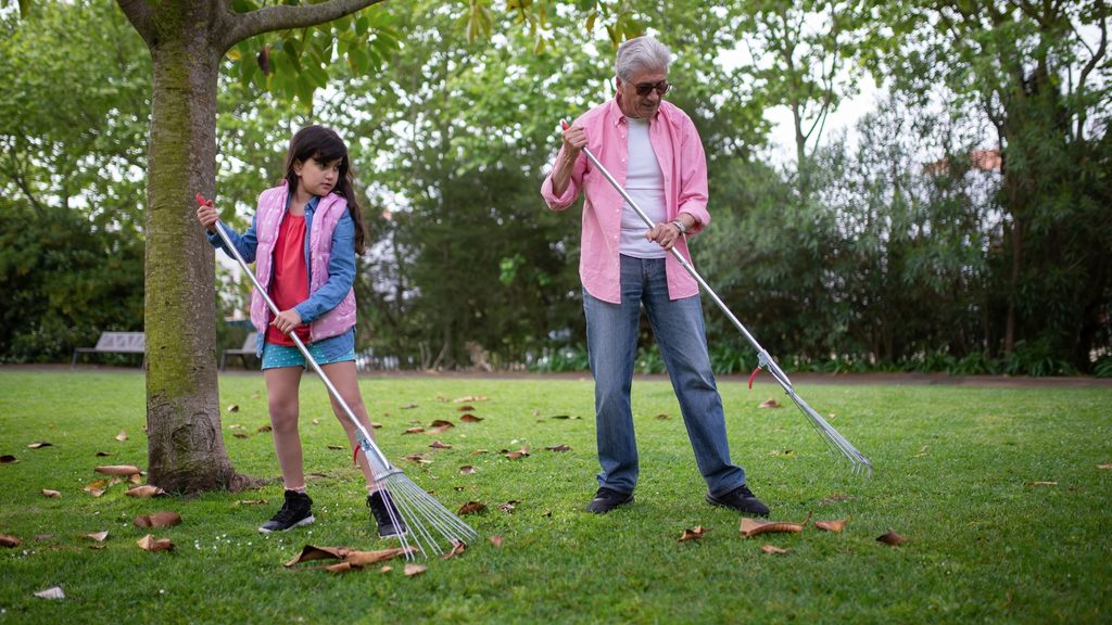 Grandfather and child raking fall leaves together on a green lawn under a large tree