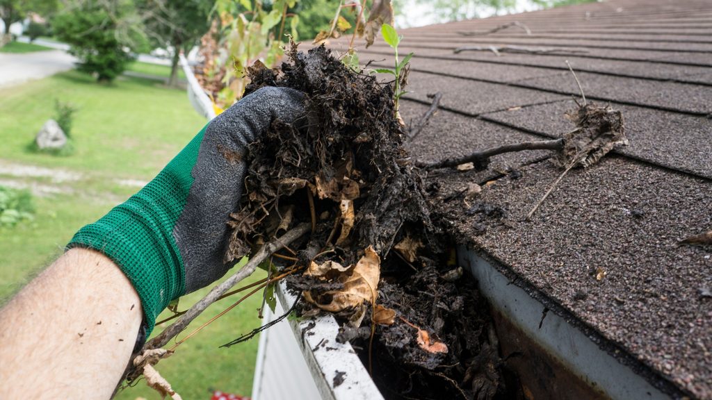 large clump of compacted gutter debris removed by gloved hand — result of years without cleaning