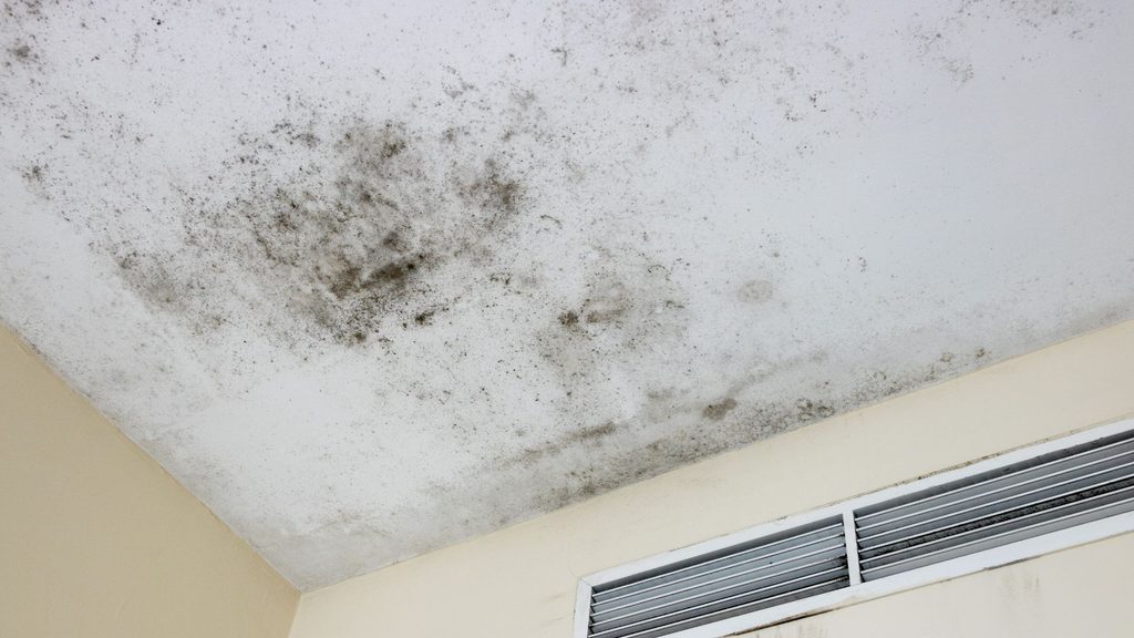 black mold spots on white ceiling near HVAC air vent