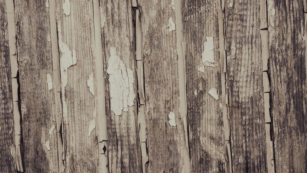 Close-up of peeling and cracking paint on weathered wood fence boards showing paint failure