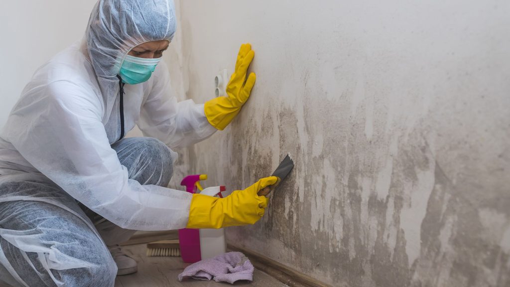 professional mold remediation worker in hazmat suit cleaning mold from wall