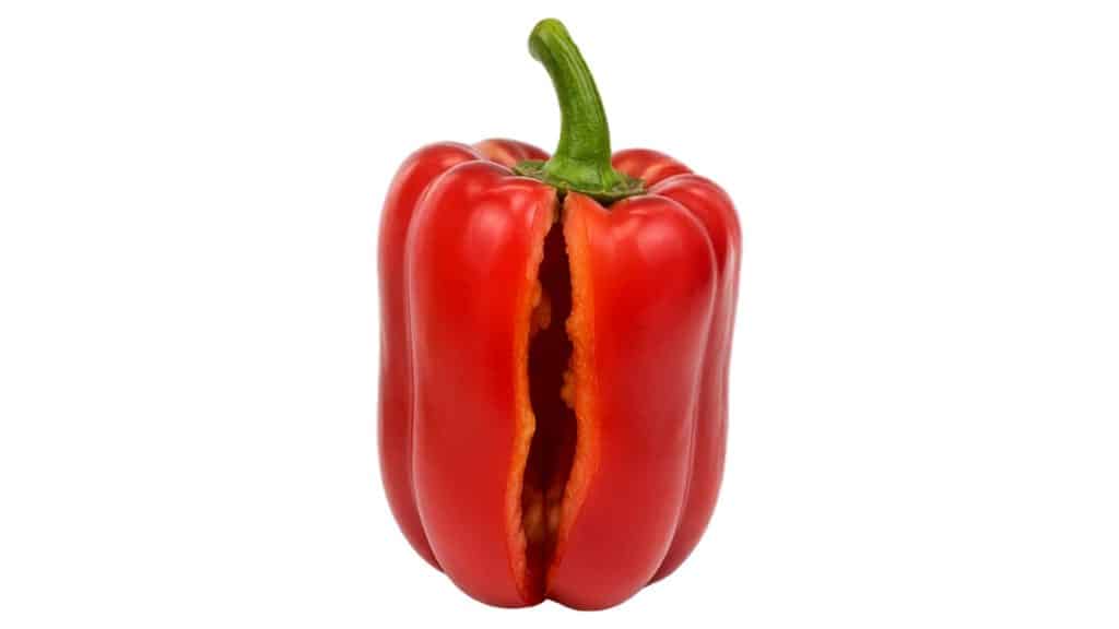 red bell pepper with a vertical split down the side exposing the flesh inside from water stress