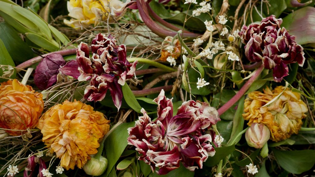 wilting and scorched tulips and mixed flowers showing summer heat stress damage