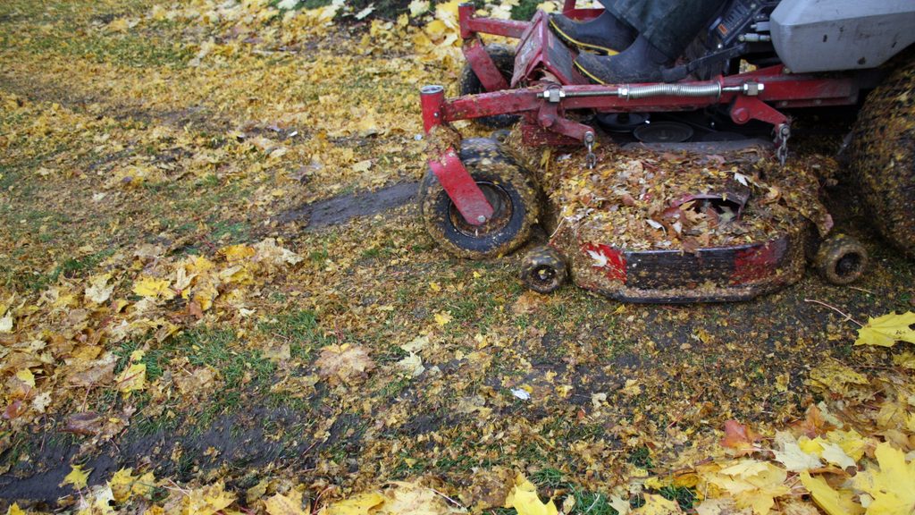 Zero-turn mower chopping and mulching fall leaves into a lawn