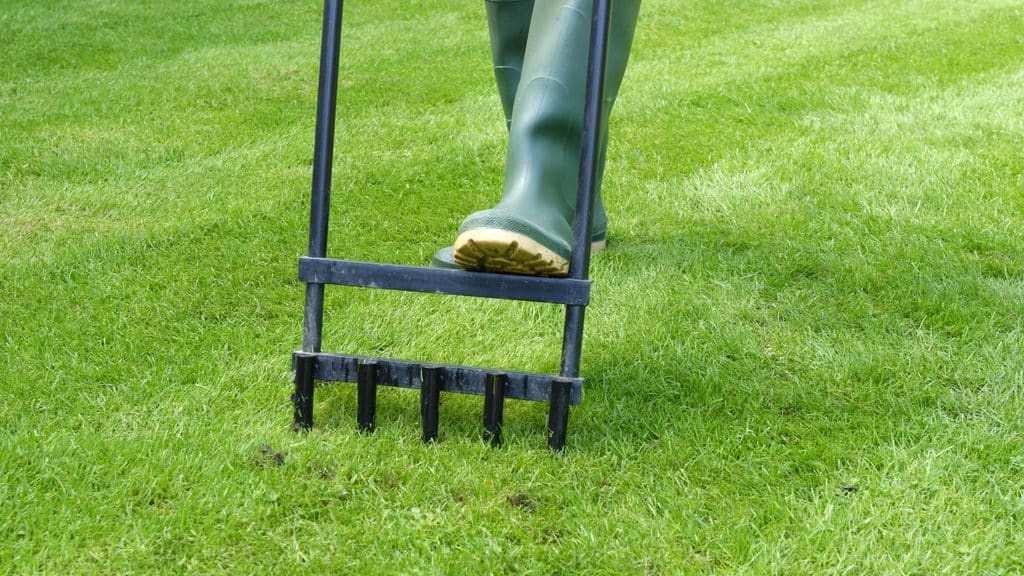Person using a step-on core aerator on a green lawn before spreading lime so it works into the soil faster