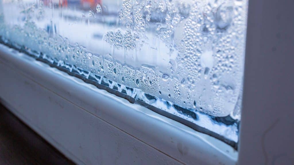 condensation on a window frame from too much indoor humidity in winter